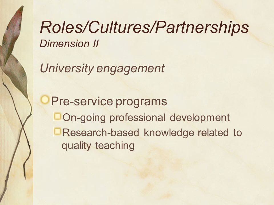 Roles/Cultures/Partnerships Dimension II