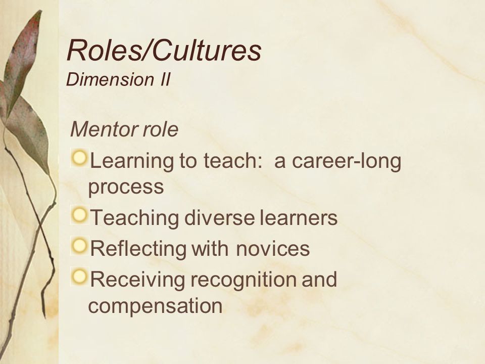 Roles/Cultures Dimension II
