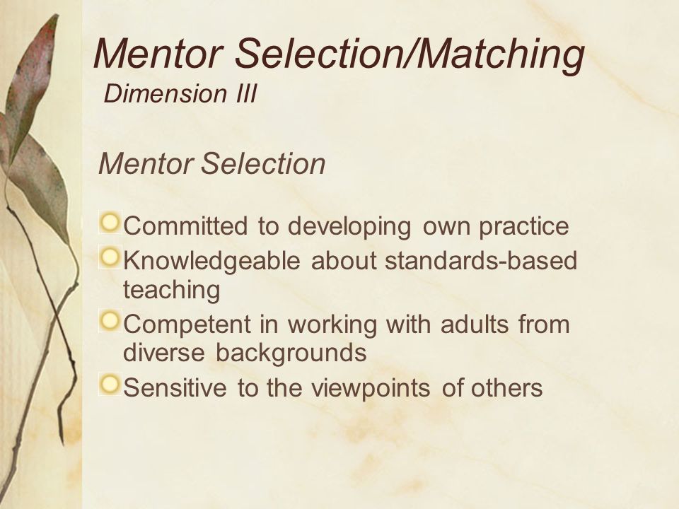 Mentor Selection/Matching Dimension III