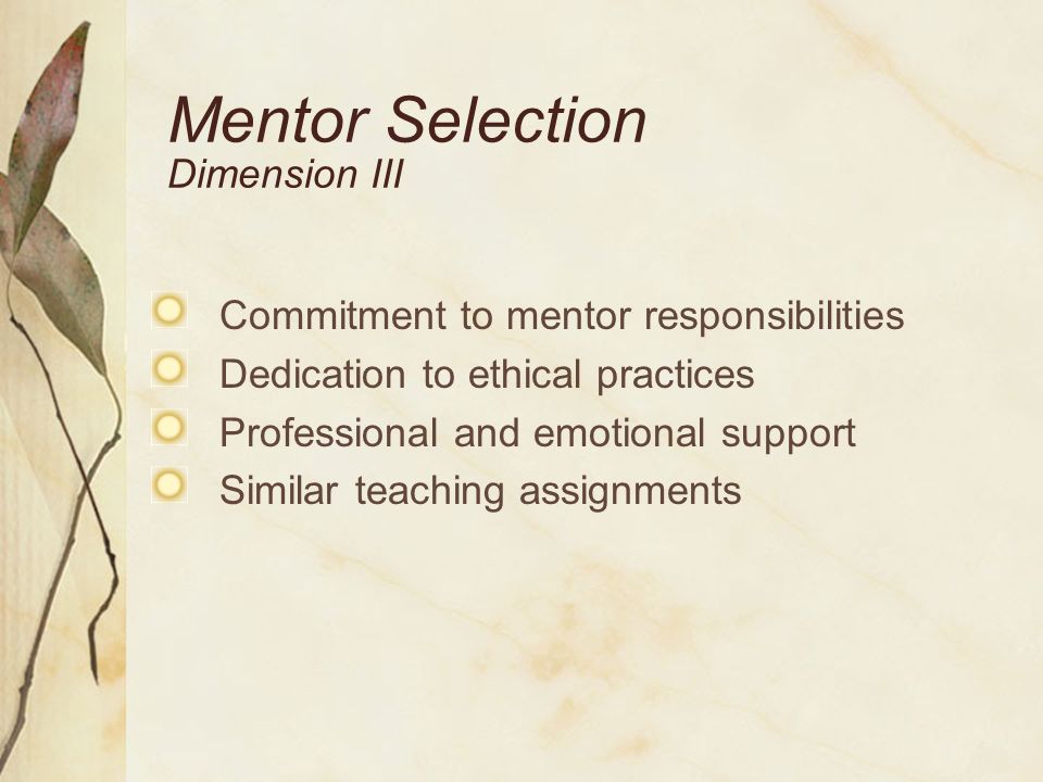 Mentor Selection Dimension III