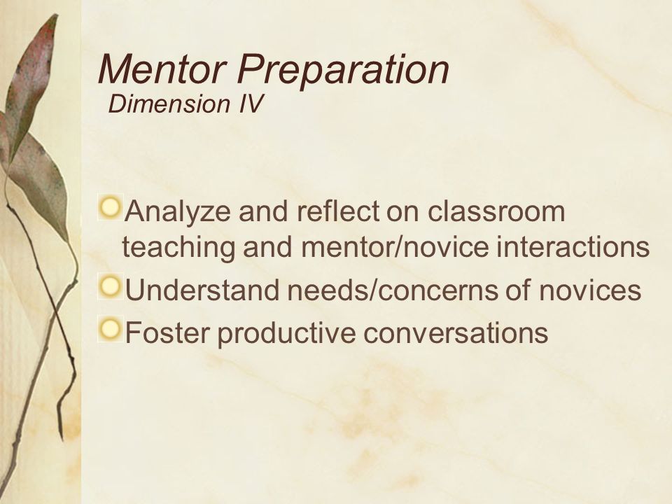 Mentor Preparation Dimension IV