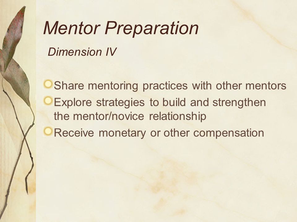 Mentor Preparation Dimension IV