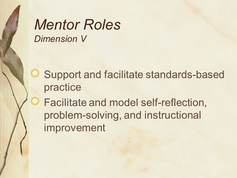 Mentor Roles Dimension V