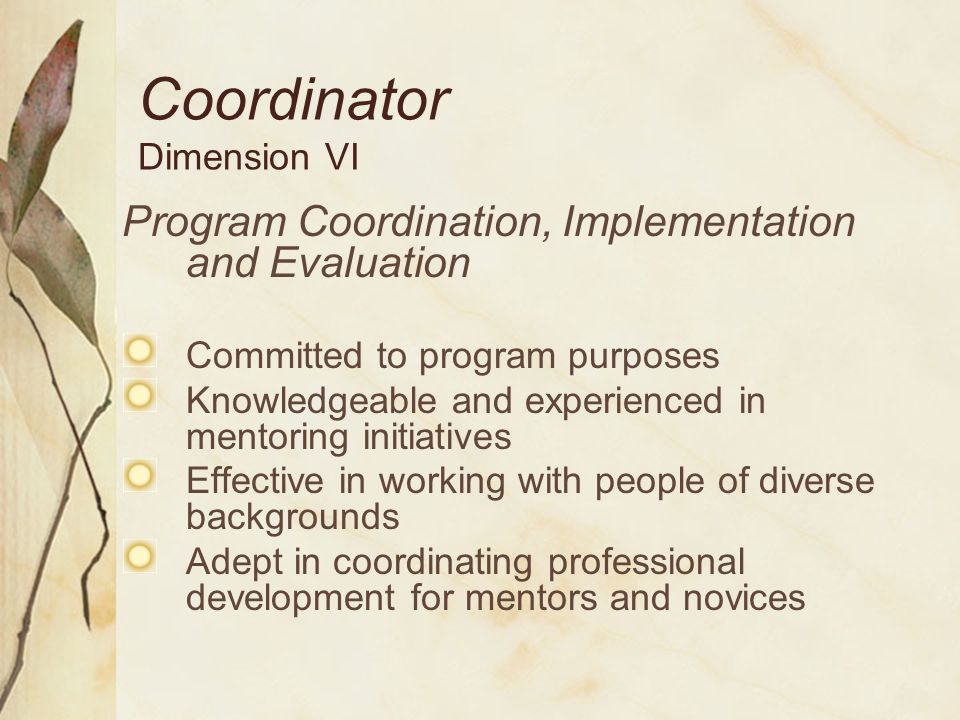 Coordinator Dimension VI