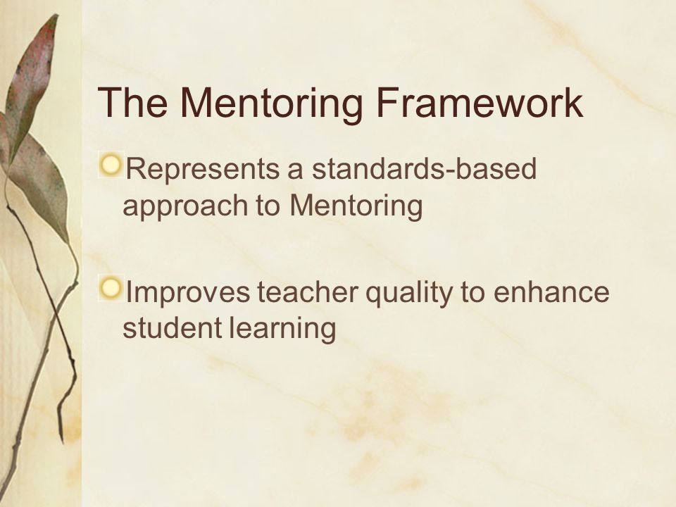 The Mentoring Framework