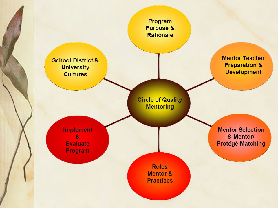 Program Purpose & Rationale Mentor Teacher Preparation & Development