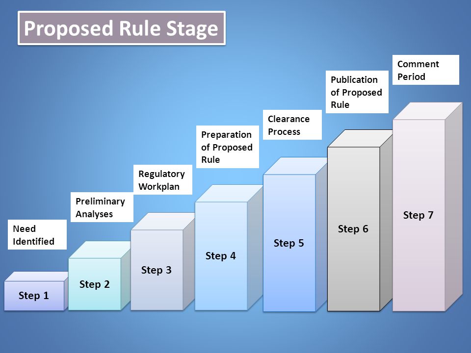 Proposed Rule Stage Step 7 Step 6 Step 5 Step 4 Step 3 Step 2 Step 1