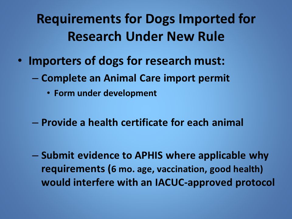Requirements for Dogs Imported for Research Under New Rule