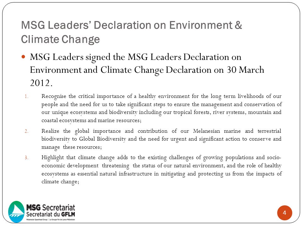 MSG Leaders’ Declaration on Environment & Climate Change