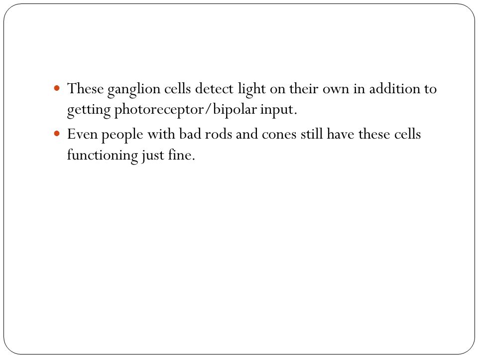 These ganglion cells detect light on their own in addition to getting photoreceptor/bipolar input.