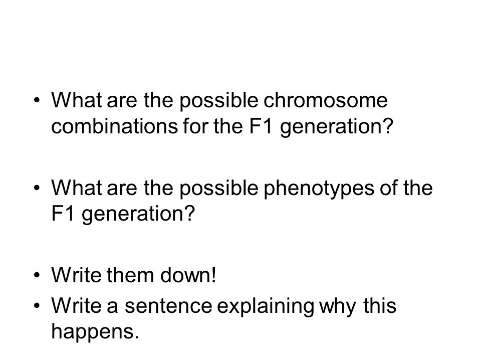 What are the possible chromosome combinations for the F1 generation