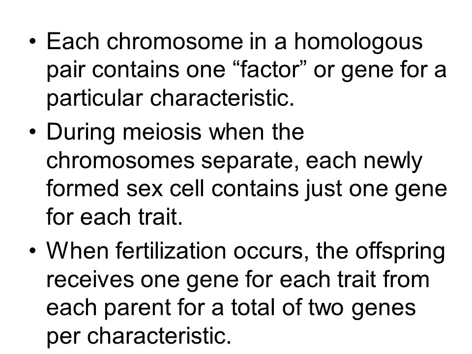 Each chromosome in a homologous pair contains one factor or gene for a particular characteristic.