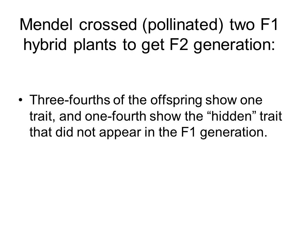 Mendel crossed (pollinated) two F1 hybrid plants to get F2 generation: