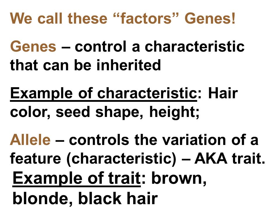 Example of trait: brown, blonde, black hair
