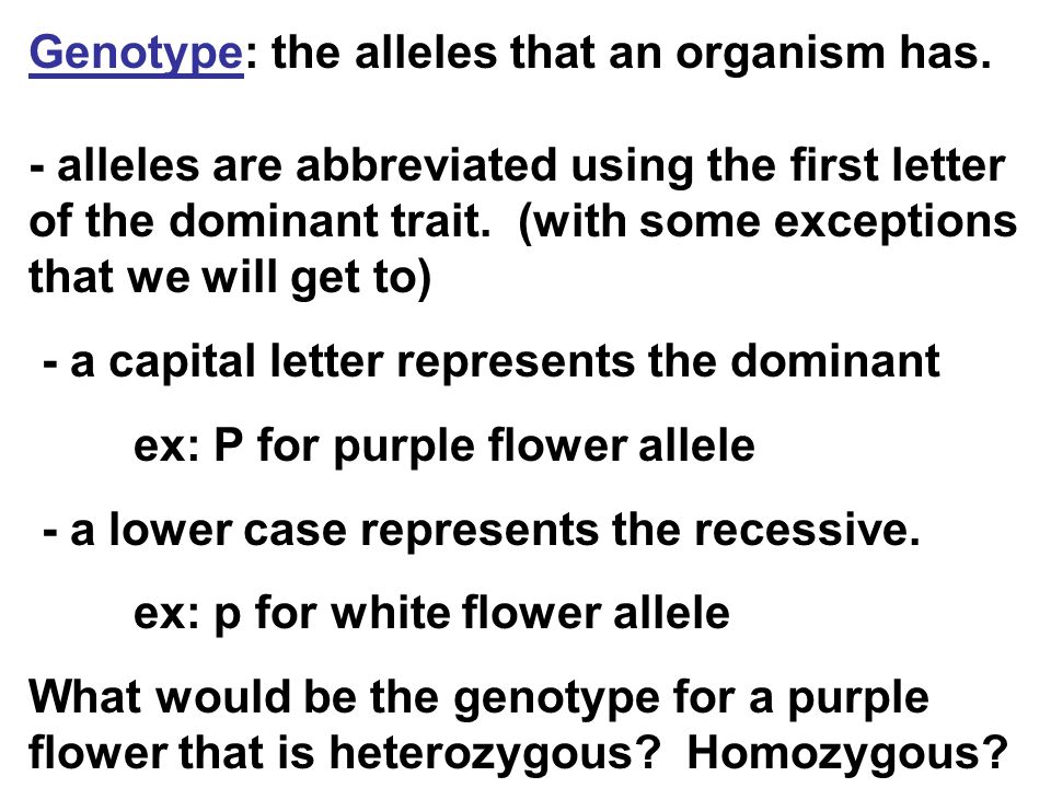 Genotype: the alleles that an organism has