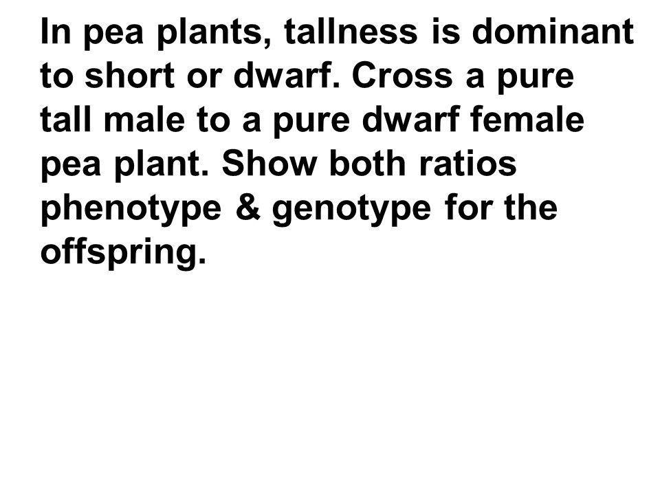 In pea plants, tallness is dominant to short or dwarf