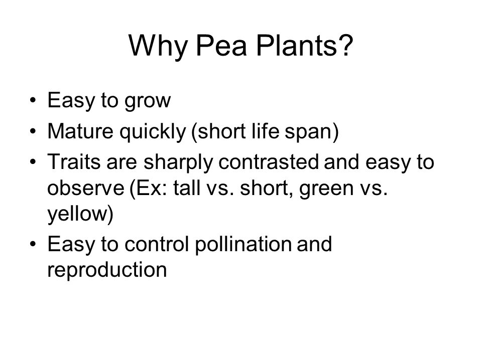 Why Pea Plants Easy to grow Mature quickly (short life span)