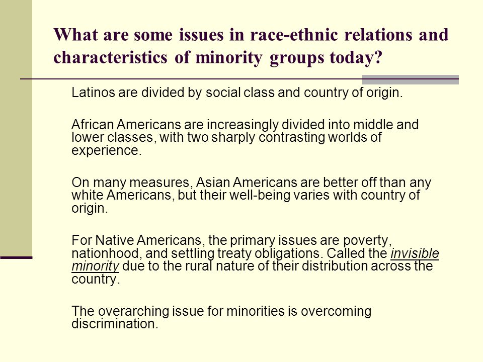 What are some issues in race-ethnic relations and characteristics of minority groups today