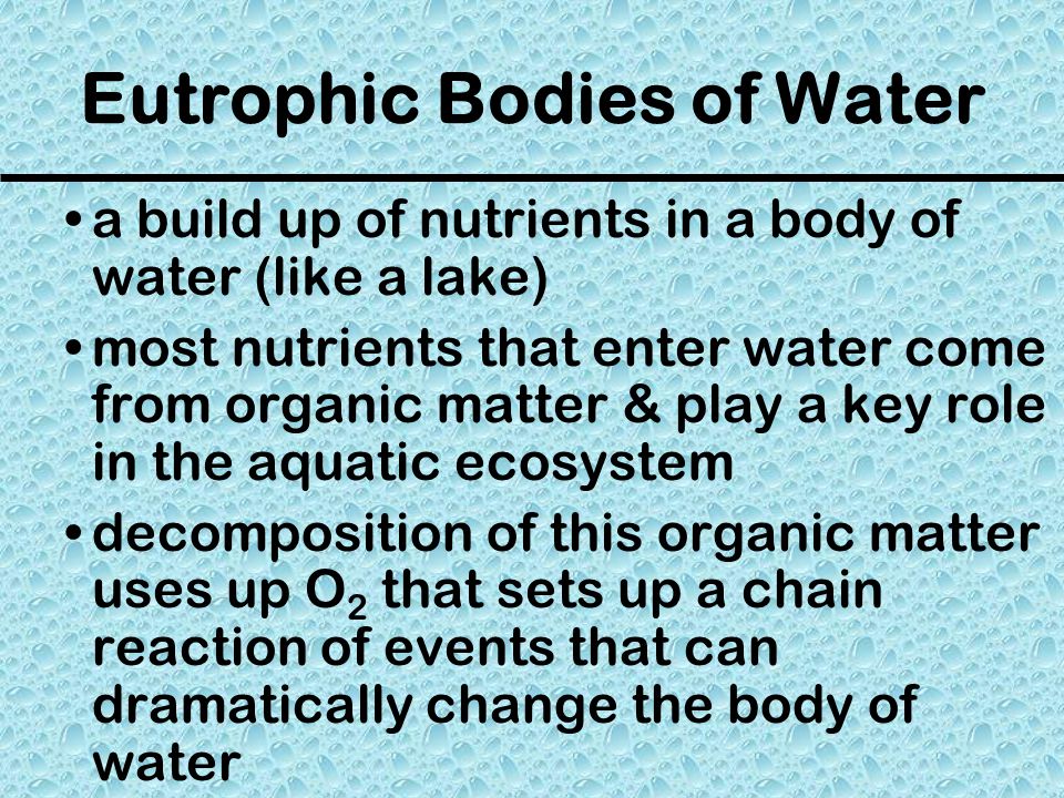 Eutrophic Bodies of Water