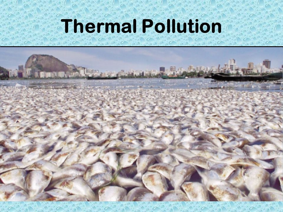 Thermal Pollution