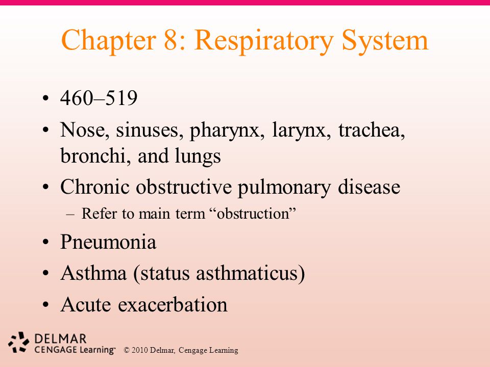 Chapter 8: Respiratory System