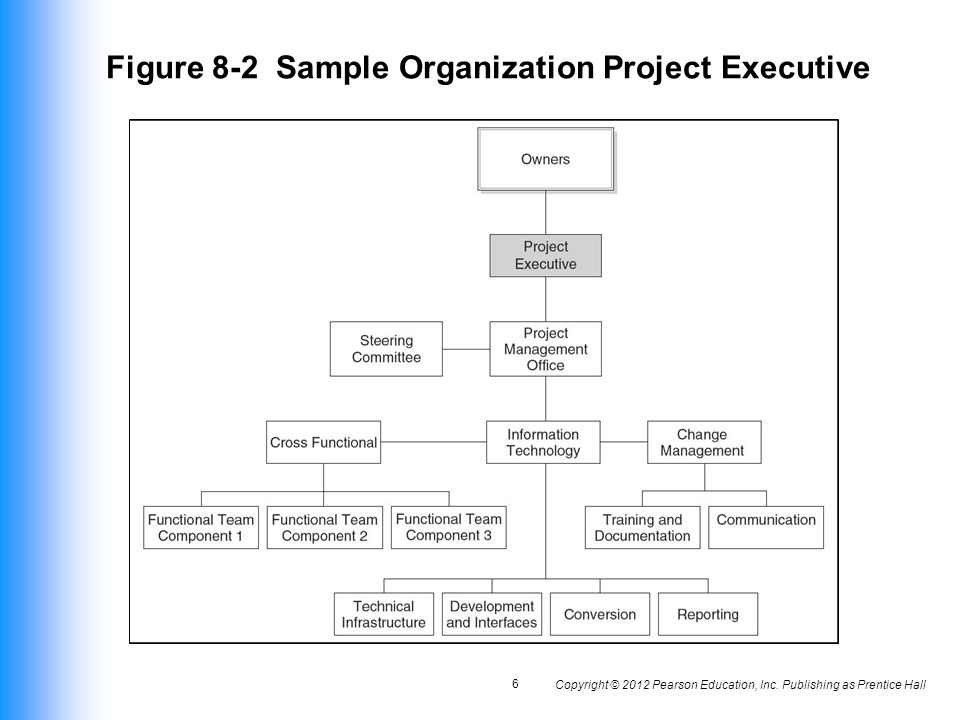 Figure 8-2 Sample Organization Project Executive
