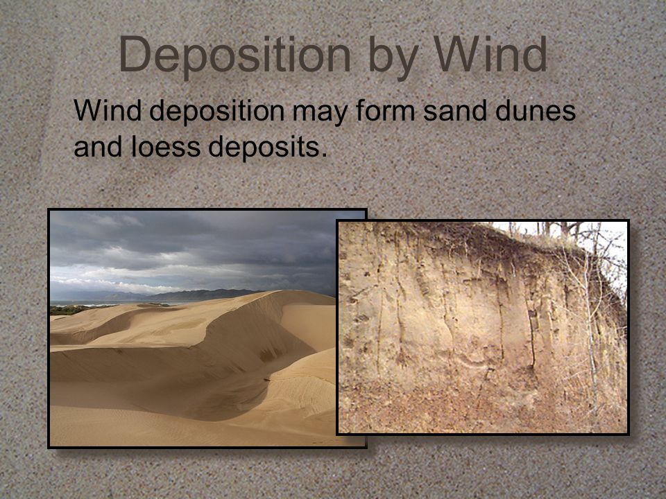 Deposition by Wind Wind deposition may form sand dunes and loess deposits.