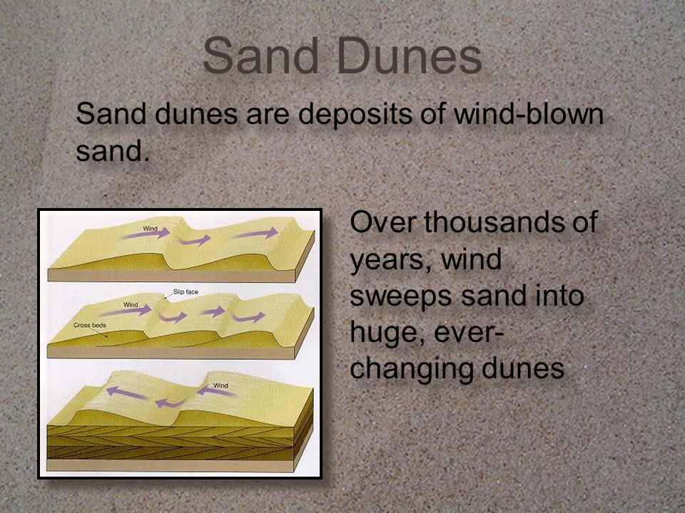 Sand Dunes Sand dunes are deposits of wind-blown sand.