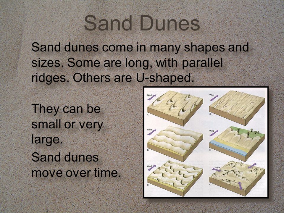 Sand Dunes Sand dunes come in many shapes and sizes. Some are long, with parallel ridges. Others are U-shaped.