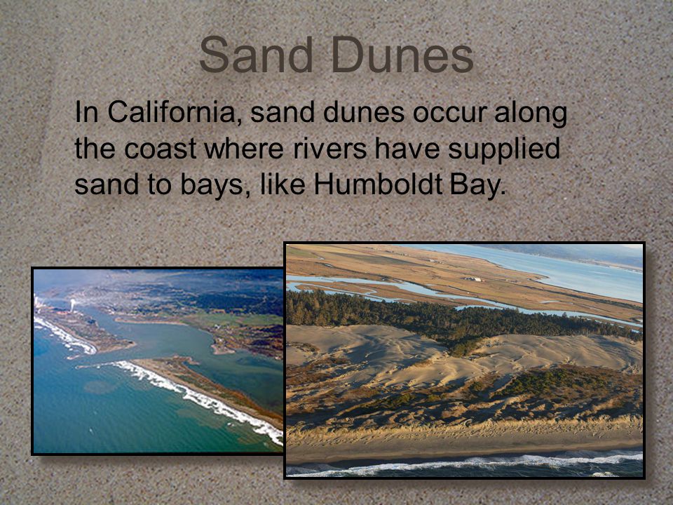 Sand Dunes In California, sand dunes occur along the coast where rivers have supplied sand to bays, like Humboldt Bay.