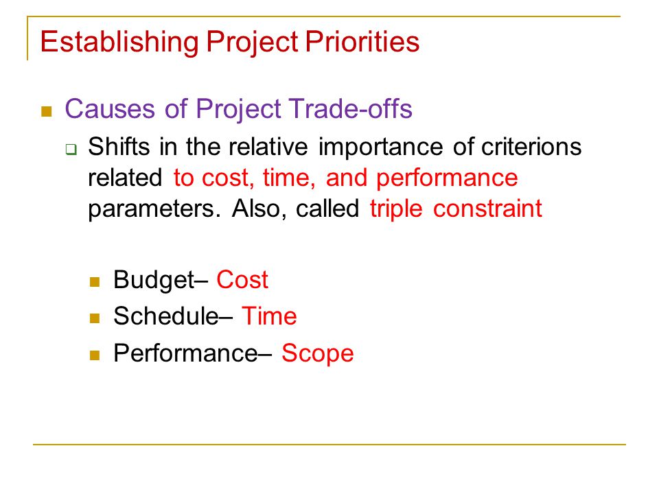 Establishing Project Priorities