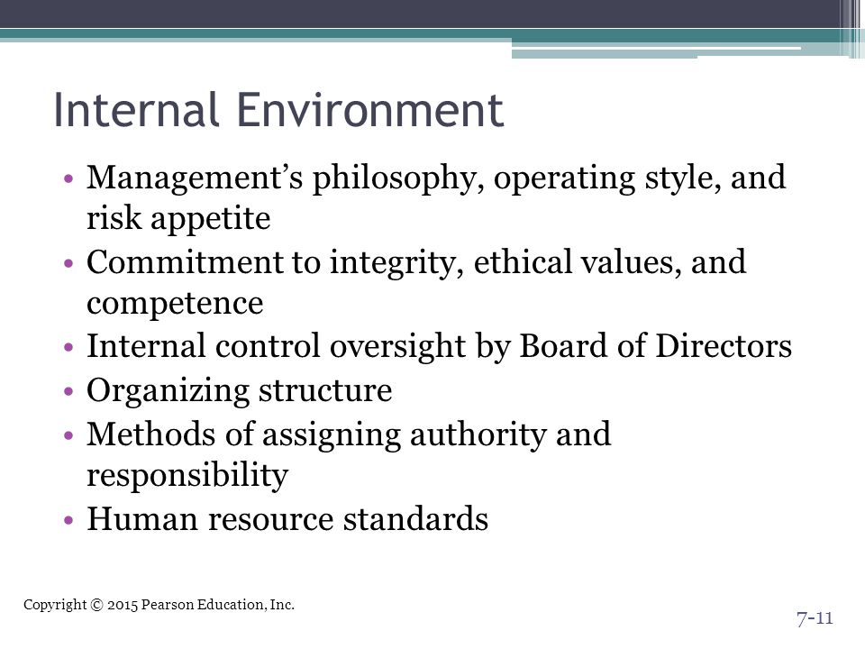 Internal Environment Management’s philosophy, operating style, and risk appetite. Commitment to integrity, ethical values, and competence.