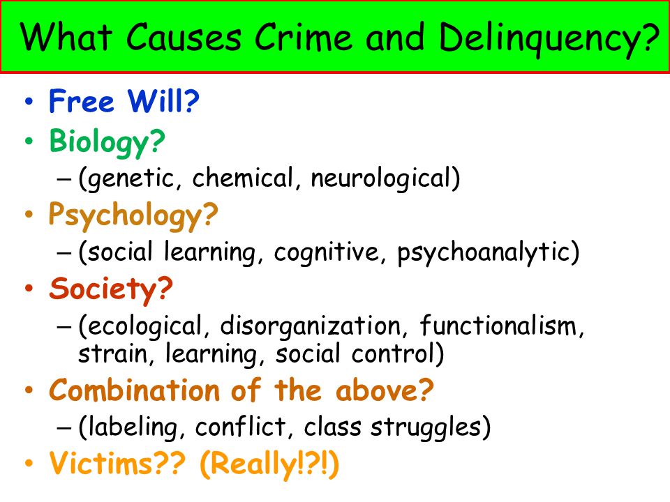 What Causes Crime and Delinquency? 
