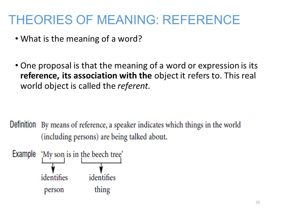 THEORIES OF MEANING: REFERENCE