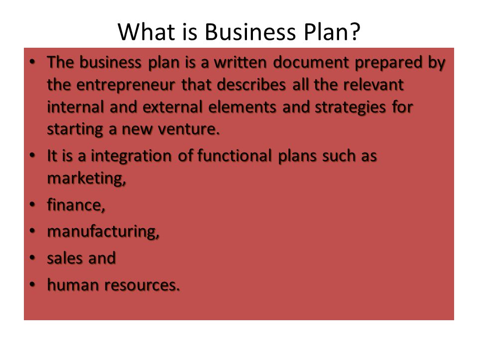 What is Business Plan