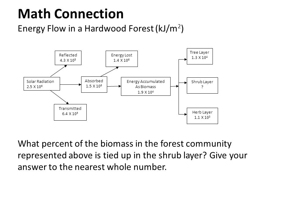 Math Connection Energy Flow in a Hardwood Forest (kJ/m2)