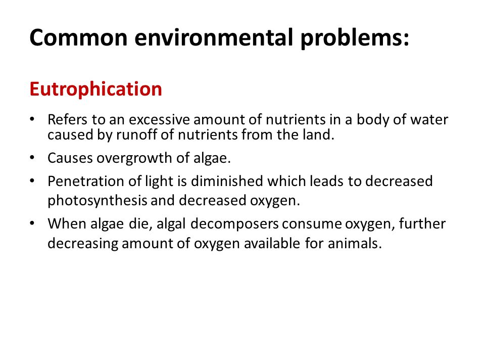 Common environmental problems: