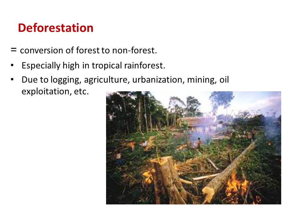 = conversion of forest to non-forest.