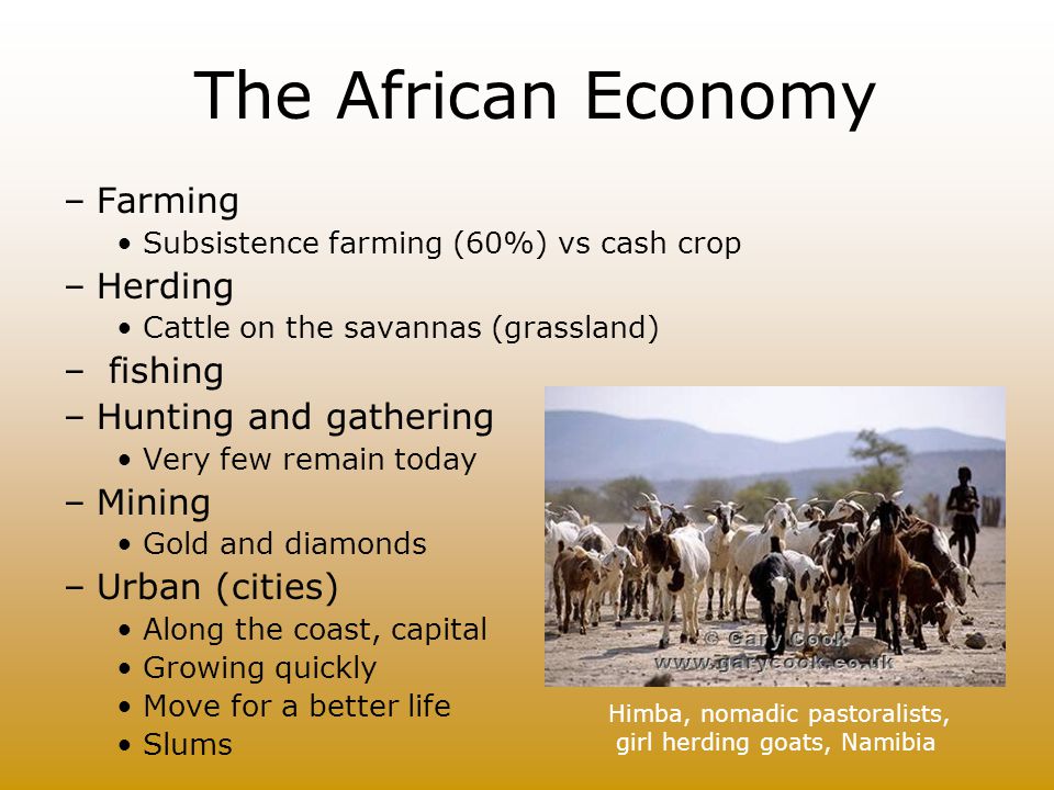 The African Economy Farming Herding fishing Hunting and gathering