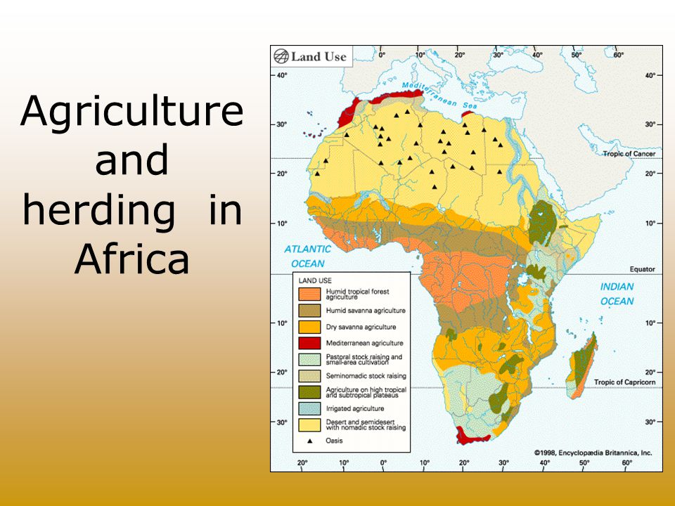 Agriculture and herding in Africa