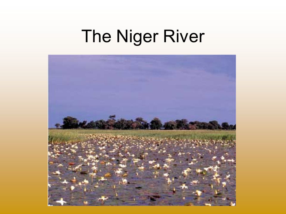 The Niger River