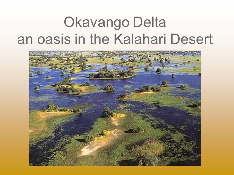 Okavango Delta an oasis in the Kalahari Desert