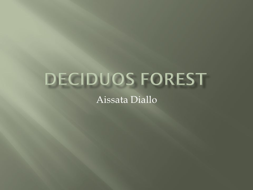 Deciduos forest Aissata Diallo