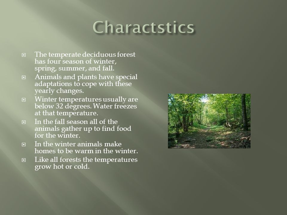 Charactstics The temperate deciduous forest has four season of winter, spring, summer, and fall.