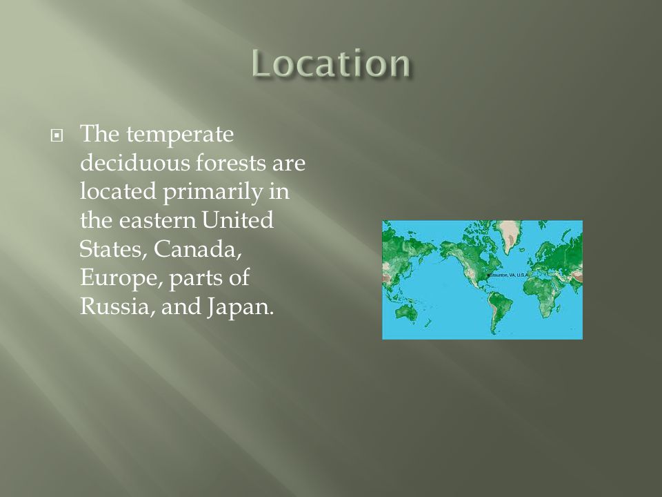 Location The temperate deciduous forests are located primarily in the eastern United States, Canada, Europe, parts of Russia, and Japan.
