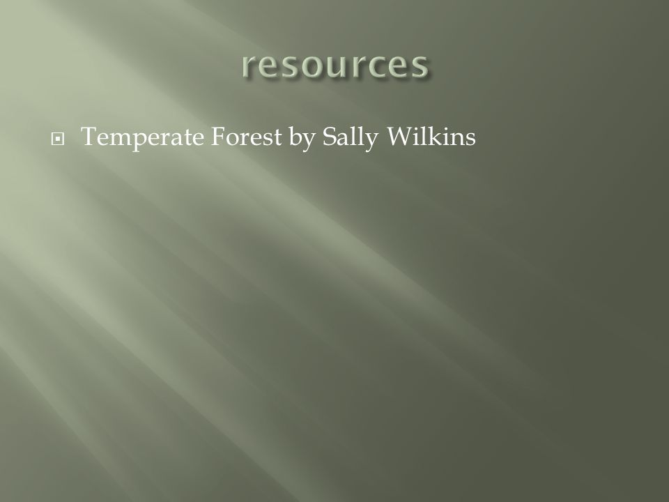 resources Temperate Forest by Sally Wilkins