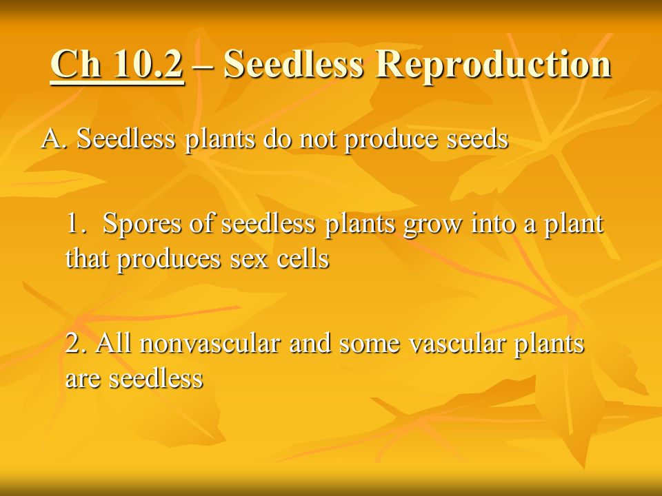 Ch 10.2 – Seedless Reproduction