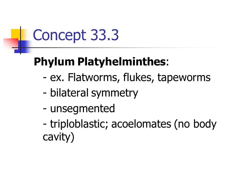 Concept 33.3 Phylum Platyhelminthes: