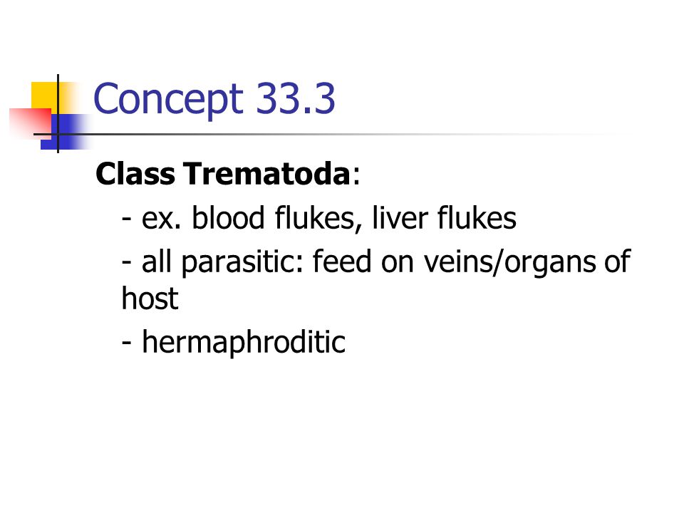 Concept 33.3 Class Trematoda: - ex. blood flukes, liver flukes