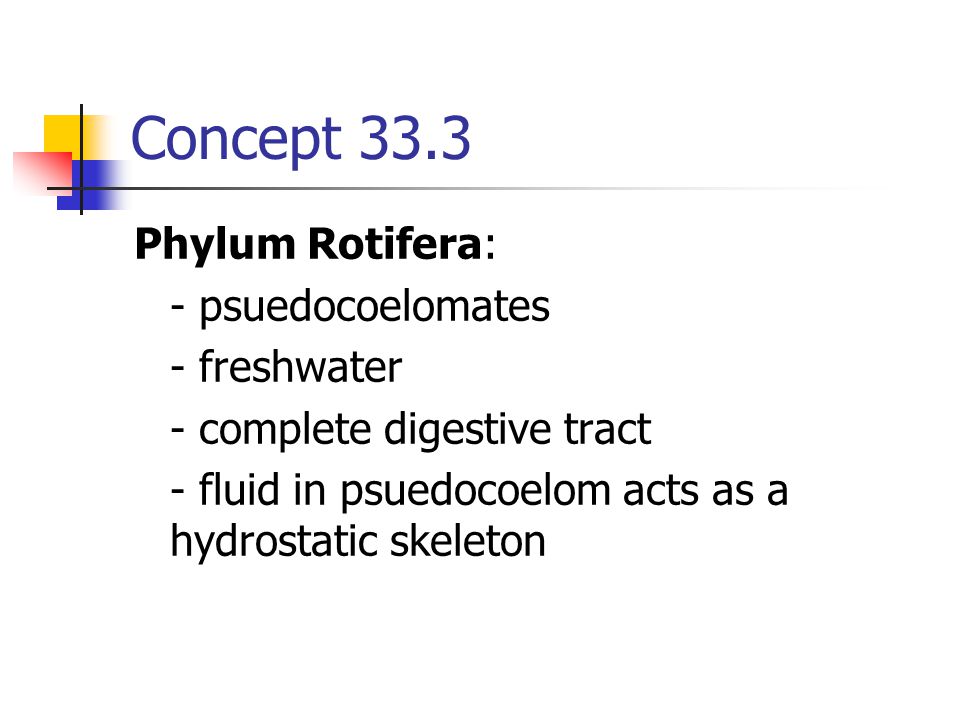 Concept 33.3 Phylum Rotifera: - psuedocoelomates - freshwater